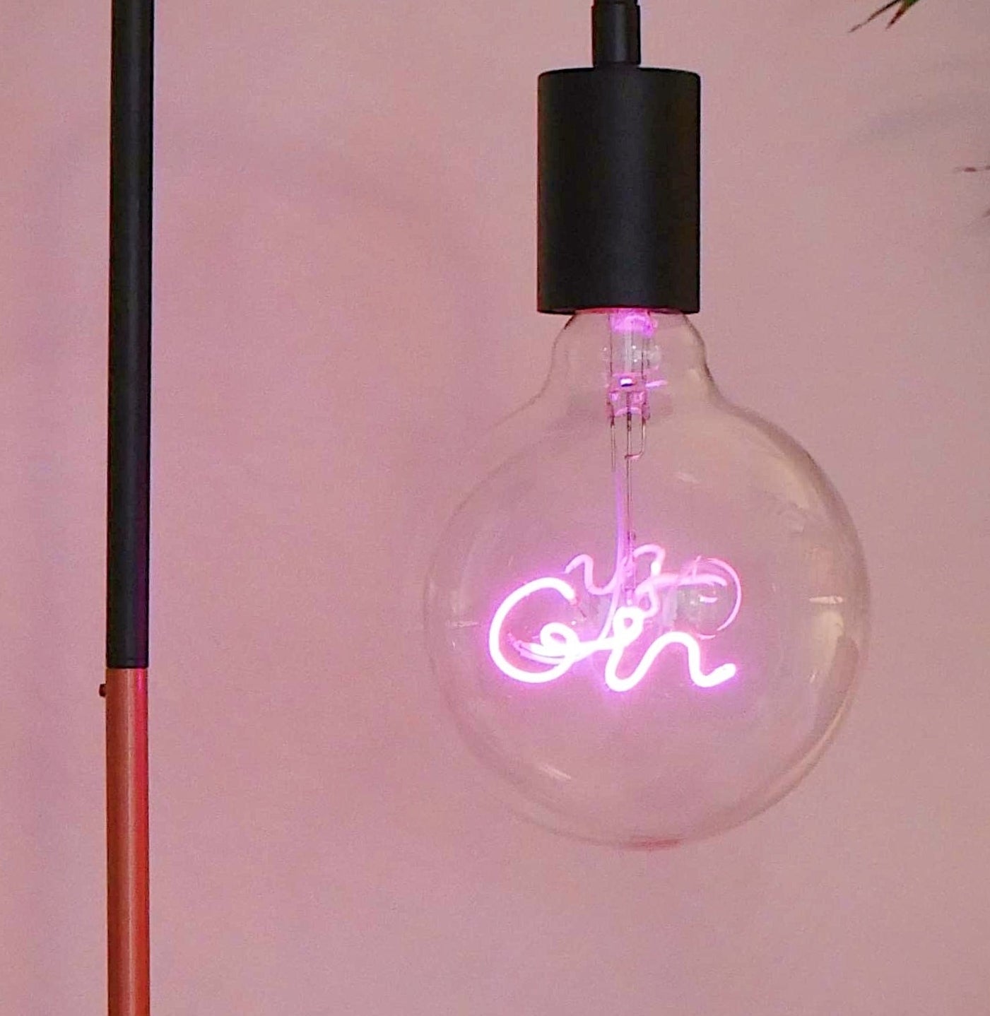 Pink Gin LED Light Bulb - Screw Up Pendant Fitting - E27 Edison Dimmable